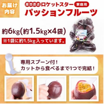 《先行受付》鹿児島県産パッションフルーツ ロケットスター(1個90g以上・約6.0kg)D99001