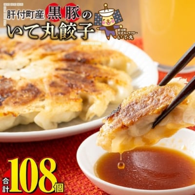 鹿児島県 肝付町産 黒豚 餃子 ギョーザ(計108個・12個入 9パック)【財宝】　A43089