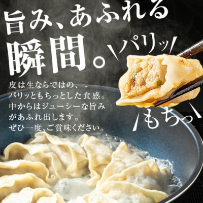 鹿児島県 肝付町産 黒豚 餃子 ギョーザ(計108個・12個入 9パック)【財宝】　A43089