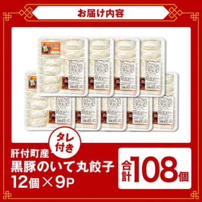 鹿児島県 肝付町産 黒豚 餃子 ギョーザ(計108個・12個入 9パック)【財宝】　A43089