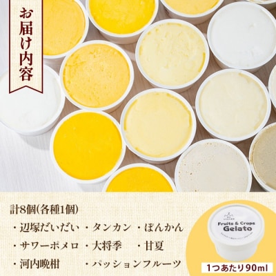 南のくだもの王国 かごしま フルーツジェラート 食べ比べ セット　A83003