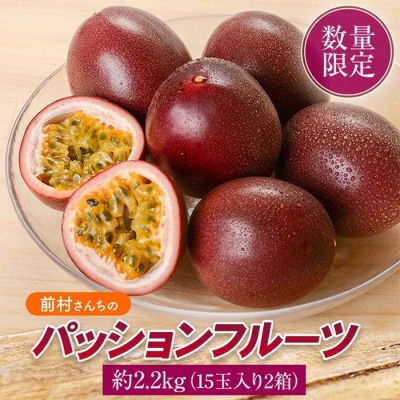 【先行受付】前村さんちの パッション フルーツ　約2.2kg　30個入　A52003