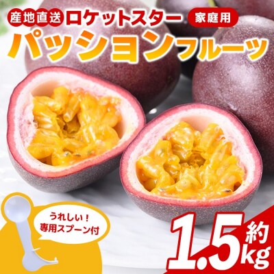 鹿児島県産パッションフルーツ ロケットスター(約1.5kg)A99001