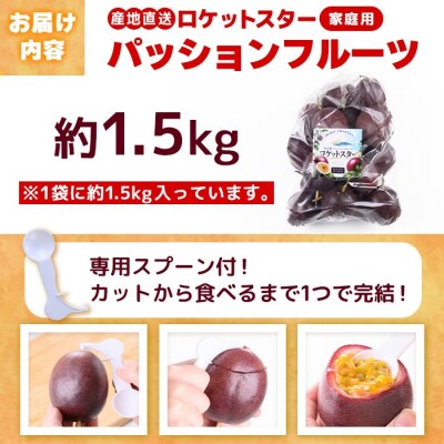 鹿児島県産パッションフルーツ ロケットスター(約1.5kg)A99001