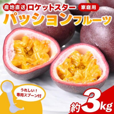 鹿児島県産パッションフルーツ ロケットスター(約3.0kg)B99001