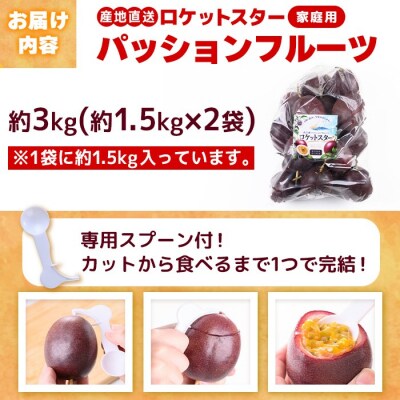 鹿児島県産パッションフルーツ ロケットスター(約3.0kg)B99001