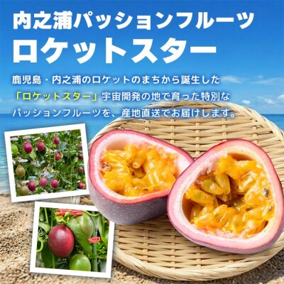 鹿児島県産パッションフルーツ ロケットスター(約6.0kg)D99001