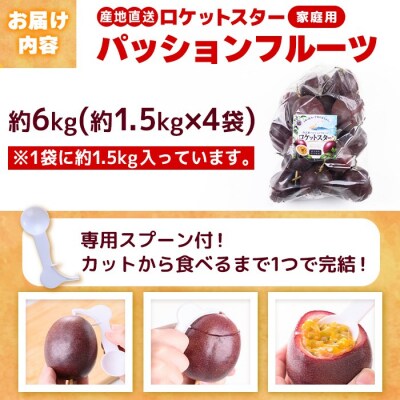 鹿児島県産パッションフルーツ ロケットスター(約6.0kg)D99001