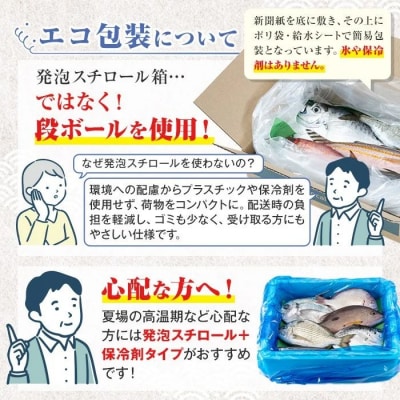 漁師厳選!ロコフィッシュ(地魚) 下処理済 鮮魚 ボックス(約2~3kg)　A78003
