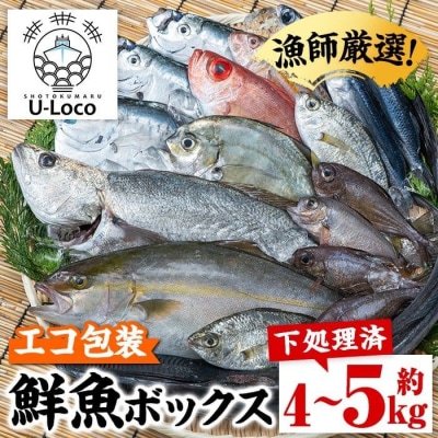 漁師厳選!ロコフィッシュ(地魚) 下処理済 鮮魚 ボックス(約4～5kg)　A78004