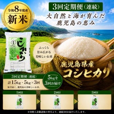 <定期便・計3回>令和8年産 新米コシヒカリ(計15kg・5kg×3回)D95001