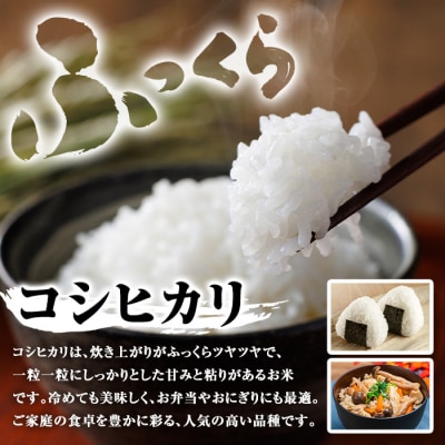 <定期便・計3回>令和8年産 新米コシヒカリ(計15kg・5kg×3回)D95001
