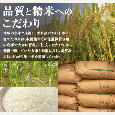 <定期便・計3回>令和8年産 新米コシヒカリ(計15kg・5kg×3回)D95001
