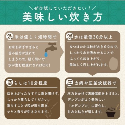 先行予約受付中!農家直送 令和8年産 新米 鹿児島県産 なつほのか 10kg B93001