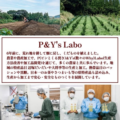 南のくだもの王国 南のFRUIT&CROPS ジェラート セット 　A83004
