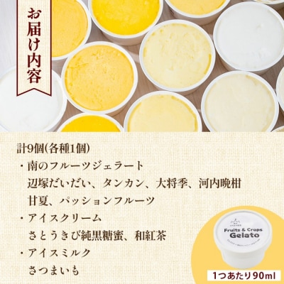 南のくだもの王国 南のFRUIT&CROPS ジェラート セット 　A83004