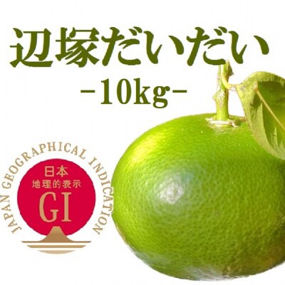 辺塚だいだい 青果 10kg　A20008