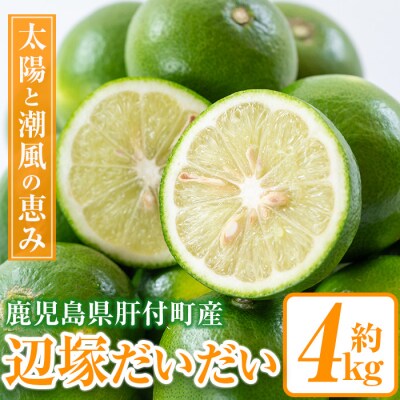 辺塚だいだい 青果 4kg　 P20002