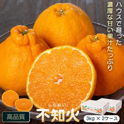【先行受付】肝付町産不知火(しらぬい)　A18008