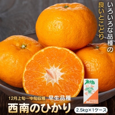 【先行受付】肝付町産西南のひかり　P18001