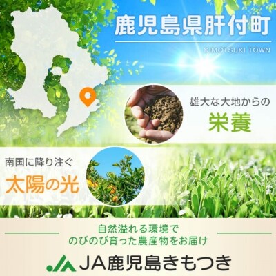 【先行受付】肝付町産西南のひかり　P18001