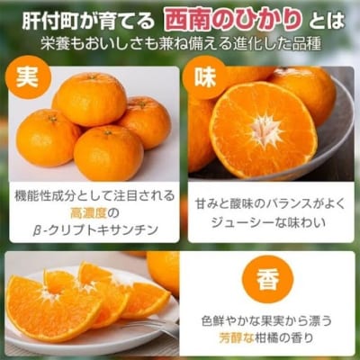 【先行受付】肝付町産西南のひかり　P18001