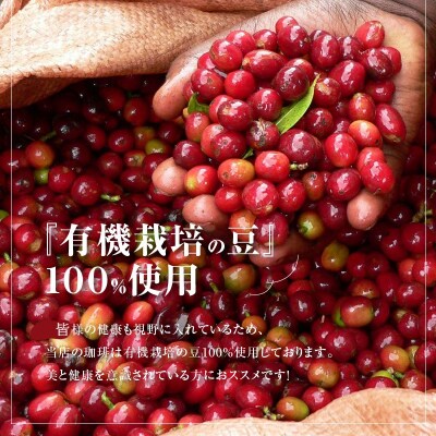 希少!有機栽培の豆100% ドリップバッグコーヒー ギフトボックス(アイス20袋)H046-034