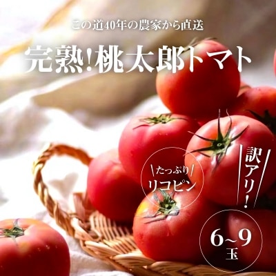 【訳あり】 この道40年の農家から直送 完熟!桃太郎トマト6～9玉　H139-019