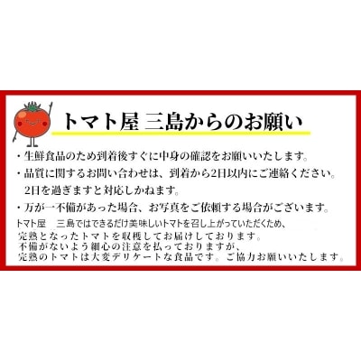 【訳あり】 この道40年の農家から直送 完熟!桃太郎トマト6～9玉　H139-019