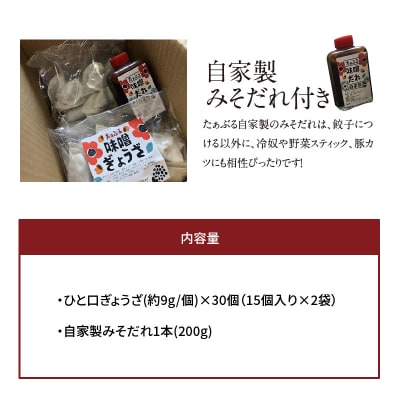 お試しセット 居酒屋のおかあちゃん手作り ひと口味噌ぎょうざ 30個　H136-034