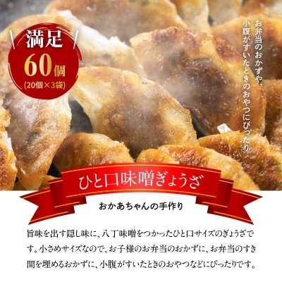 居酒屋のおかあちゃん手作り ひと口味噌ぎょうざ 60個(20個×3袋)　H136-035