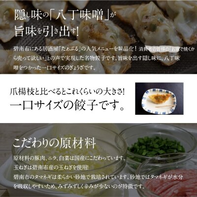居酒屋のおかあちゃん手作り ひと口味噌ぎょうざ 60個(20個×3袋)　H136-035