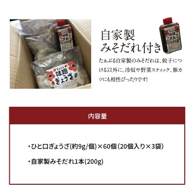 居酒屋のおかあちゃん手作り ひと口味噌ぎょうざ 60個(20個×3袋)　H136-035