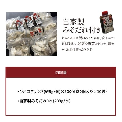 居酒屋のおかあちゃん手作り ひと口味噌ぎょうざ 300個(30個×10袋)　H136-030