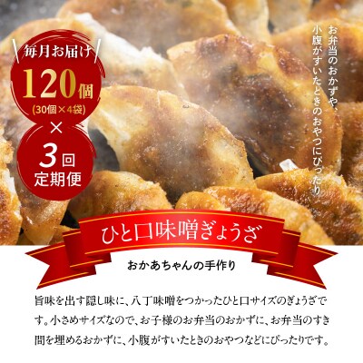 【3ヶ月定期便】居酒屋のおかあちゃん手作り ひと口味噌ぎょうざ 120個　H136-040