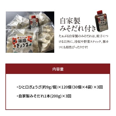 【3ヶ月定期便】居酒屋のおかあちゃん手作り ひと口味噌ぎょうざ 120個　H136-040
