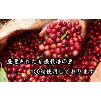 希少!有機栽培の豆100%　ドリップバッグコーヒー ご家庭用(アイス30パック)　H046-036