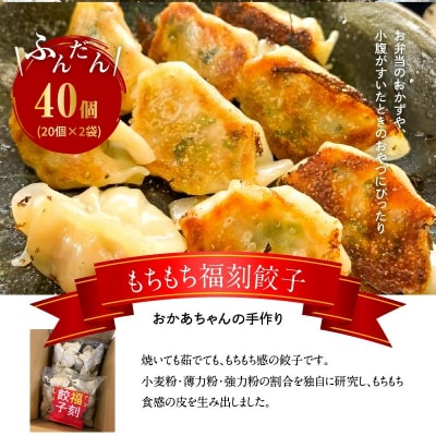 居酒屋のおかあちゃん手作り もちもち福刻餃子 40個(20個×2袋)　H136-037