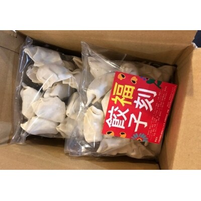 居酒屋のおかあちゃん手作り もちもち福刻餃子 40個(20個×2袋)　H136-037