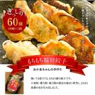 居酒屋のおかあちゃん手作り もちもち福刻餃子 60個(30個×2袋)　H136-038