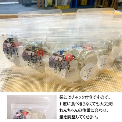 無塩 天日干し わんこのしらすせんべい10袋 ペットフード犬 おやつ ペットおやつ H063-020