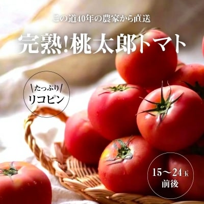 【訳あり】 この道40年の農家から直送 完熟!桃太郎トマト15～24玉　H139-017