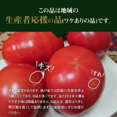 【訳あり】 この道40年の農家から直送 完熟!桃太郎トマト15～24玉　H139-017