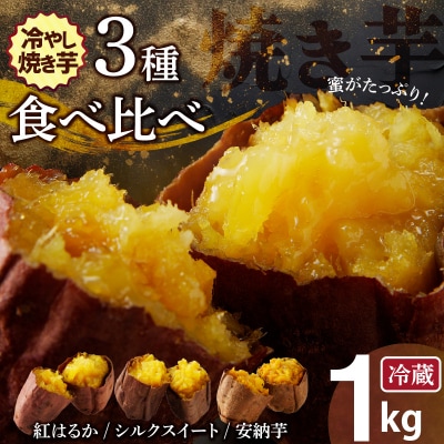 焼き芋 蜜たっぷり!冷やし焼き芋 ひえひえ君 3種食べ比べ 約1kg 芋スイーツ　H047-034