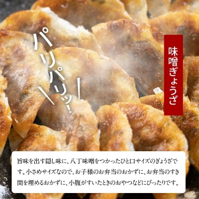 【3か月定期便】パリパリひと口ぎょうざともちもち餃子セット　合計90個　H136-044