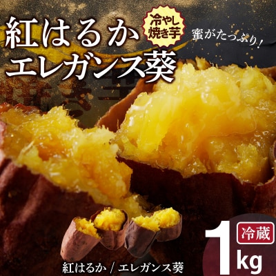 蜜たっぷり!冷やし焼き芋 ひえひえ君 食べ比べ 1kg エレガンス葵&紅はるか　H047-032