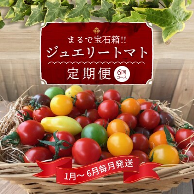 1月～6月毎月発送　まるでトマトの宝石箱!ジュエリートマトの定期便　6回コース　H004-164