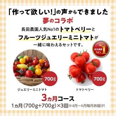 トマトベリー&ジュエリートマトセットの定期便(4月～6月毎月お届け3回コース) H004-087