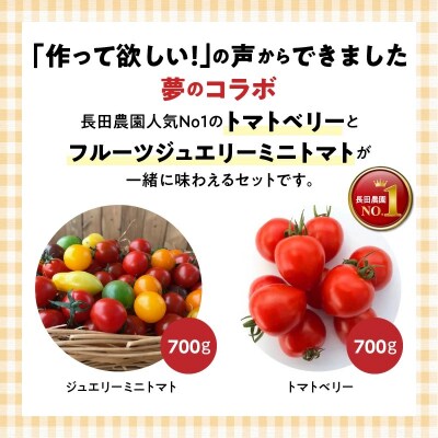 夢のコラボ トマトベリー&ジュエリートマトセット 計1.4kg　H004-088