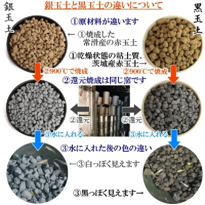 銀玉土1リットル めだか鉢 金魚鉢 メダカ 鉢 陶器 睡蓮 多孔質土　H100-084